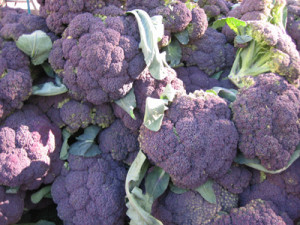 purple_broccoli