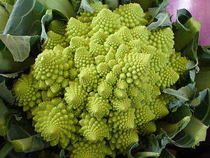 romanesco