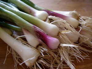 зеленый лук, spring onions